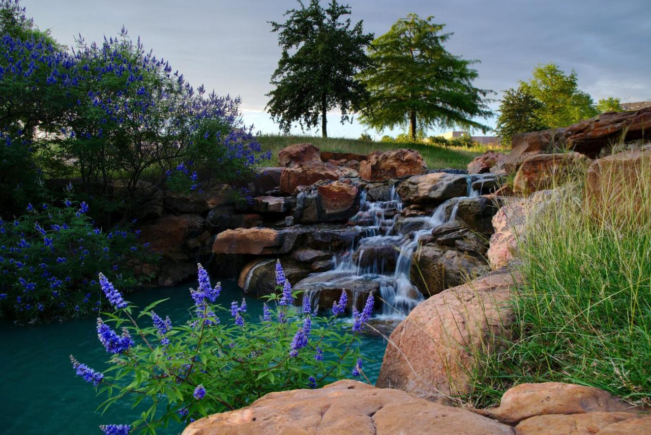 Holiday Inn Express Frisco Legacy Park Area, An Ihg Hotel Εξωτερικό φωτογραφία